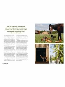 Schlussverkauf ✨ Bücher & Hörbücher Christian Back To The Land | Outdoorleben Für Moderne Aussteiger Günstig Kaufen 🧨 -Günstiges Creano Geschäft christian back to the land outdoorleben fur moderne aussteiger 2