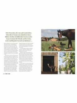 Schlussverkauf ✨ Bücher & Hörbücher Christian Back To The Land | Outdoorleben Für Moderne Aussteiger Günstig Kaufen 🧨 -Günstiges Creano Geschäft christian back to the land outdoorleben fur moderne aussteiger 6