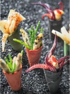 Billig ✨ Bücher & Hörbücher Christian Fingerfood Vom Grill Günstig Kaufen ⌛ -Günstiges Creano Geschäft christian fingerfood vom grill 8