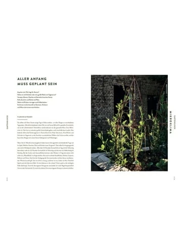 Aktion 🎁 Bücher & Hörbücher Christian Garden To Table | 50 Kulinarische Sensationen Mit Gemüse Aus Dem Eigenen... Günstig Kaufen 😍 4 Aktion 🎁 Bücher & Hörbücher Christian Garden To Table | 50 Kulinarische Sensationen Mit Gemüse Aus Dem Eigenen... Günstig Kaufen 😍 - Image 2