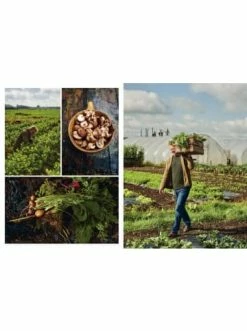 Günstiges Creano Geschäft -Günstiges Creano Geschäft christian gemuse and fisch 80 perfekt kombinierte geniesserrezepte 1