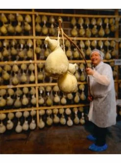 Blitzangebot 🤩 Bücher & Hörbücher Christian Italia | Das Beste Aus Allen Regionen Günstig Kaufen 😉 -Günstiges Creano Geschäft christian italia das beste aus allen regionen 3