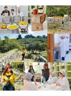 Blitzangebot 🤩 Bücher & Hörbücher Christian Italia | Das Beste Aus Allen Regionen Günstig Kaufen 😉 -Günstiges Creano Geschäft christian italia das beste aus allen regionen 8