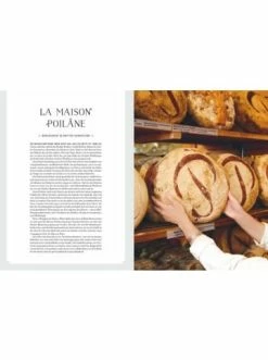 Großhandel 💯 Bücher & Hörbücher Christian La Cuisine De Paris | Kulinarische Streifzüge Durch Die Schönste Stadt Der Welt Günstig Kaufen 🎉 -Günstiges Creano Geschäft christian la cuisine de paris kulinarische streifzuge durch die schonste stadt der welt 4