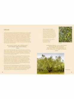 Top 10 👍 Bücher & Hörbücher Christian Le Midi | 80 Sehnsuchtsrezepte Aus Südfrankreich Günstig Kaufen 🧨 16 Top 10 👍 Bücher & Hörbücher Christian Le Midi | 80 Sehnsuchtsrezepte Aus Südfrankreich Günstig Kaufen 🧨 -Günstiges Creano Geschäft christian le midi 80 sehnsuchtsrezepte aus sudfrankreich 6