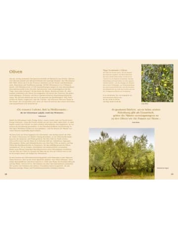 Top 10 👍 Bücher & Hörbücher Christian Le Midi | 80 Sehnsuchtsrezepte Aus Südfrankreich Günstig Kaufen 🧨 9 Top 10 👍 Bücher & Hörbücher Christian Le Midi | 80 Sehnsuchtsrezepte Aus Südfrankreich Günstig Kaufen 🧨 - Image 7