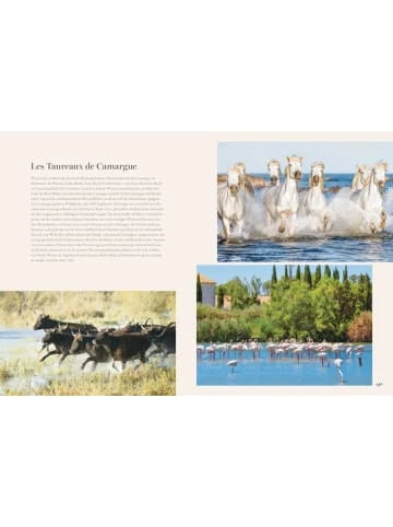 Am billigsten ⌛ Bücher & Hörbücher Christian Provence | 80 Sehnsuchtsrezepte Aus Dem Süden Frankreichs Günstig Kaufen 👏 4 Am billigsten ⌛ Bücher & Hörbücher Christian Provence | 80 Sehnsuchtsrezepte Aus Dem Süden Frankreichs Günstig Kaufen 👏 - Image 2