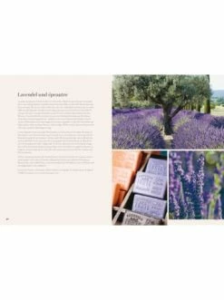 Am billigsten ⌛ Bücher & Hörbücher Christian Provence | 80 Sehnsuchtsrezepte Aus Dem Süden Frankreichs Günstig Kaufen 👏 13 Am billigsten ⌛ Bücher & Hörbücher Christian Provence | 80 Sehnsuchtsrezepte Aus Dem Süden Frankreichs Günstig Kaufen 👏 -Günstiges Creano Geschäft christian provence 80 sehnsuchtsrezepte aus dem suden frankreichs 4