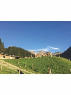 Auslauf ⭐ Bücher & Hörbücher Christian Sehnsuchtsküche Alm | 55 Echte Hüttenrezepte Aus Den Alpen Günstig Kaufen 🎁 -Günstiges Creano Geschäft christian sehnsuchtskuche alm 55 echte huttenrezepte aus den alpen 6