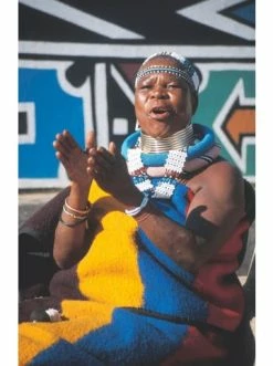 Bestpreis ⌛ Bücher & Hörbücher Christian So Kocht Afrika | Die 160 Besten Rezepte Von Kairo Bis Kapstadt Günstig Kaufen 🛒 -Günstiges Creano Geschäft christian so kocht afrika die 160 besten rezepte von kairo bis kapstadt 2