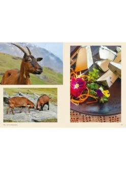 Angebote 🔥 Bücher & Hörbücher Christian Südtirol: Die Junge Bergküche | Rezepte, Porträts & Geschichten. Tradition... Günstig Kaufen 🎉 -Günstiges Creano Geschäft christian sudtirol die junge bergkuche rezepte portrats and geschichten tradition 3