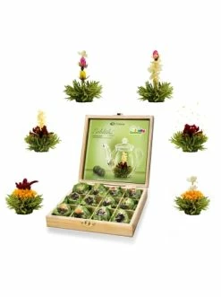 Neu ✨ Kaffee- & Teegeschirr Creano 12er Holzbox ErblühTee Grüner Tee "Fruity Flavor" Günstig Kaufen ✨