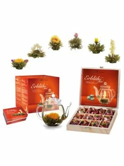 Bestpreis 👍 Kaffee- & Teegeschirr Creano 19tlg. Set: Geschenkset + 12er Holzbox "ErblühTee Weißer Tee" + 1 Teekanne 500ml Günstig Kaufen 🤩