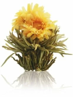 Bestpreis ⌛ Kaffee- & Teegeschirr Creano 2tlg. Set: Doppelwandglas 400ml + Teeblume Günstig Kaufen 🎉 12 Bestpreis ⌛ Kaffee- & Teegeschirr Creano 2tlg. Set: Doppelwandglas 400ml + Teeblume Günstig Kaufen 🎉 -Günstiges Creano Geschäft creano 2tlg set doppelwandglas 400ml teeblume 4