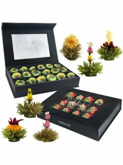 Rabatt 😀 Kaffee- & Teegeschirr Creano 2x 18er Magnet-Präsentbox ErblühTee Grüner Tee "Fruity Flavor" + Weißer Tee Günstig Kaufen 🔔