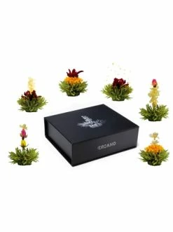 Top 10 🛒 Kaffee- & Teegeschirr Creano 2x 6er Magnet-Präsentbox ErblühTee Grüner Tee "Fruity Flavor" + Weißer Tee Günstig Kaufen 🤩 -Günstiges Creano Geschäft creano 2x 6er magnet prasentbox erbluhtee gruner tee fruity flavor weisser tee 2