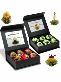 Top 10 🛒 Kaffee- & Teegeschirr Creano 2x 6er Magnet-Präsentbox ErblühTee Grüner Tee "Fruity Flavor" + Weißer Tee Günstig Kaufen 🤩