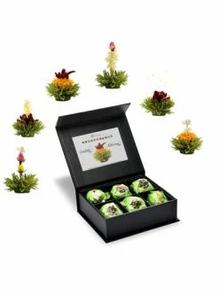 Top 10 🛒 Kaffee- & Teegeschirr Creano 2x 6er Magnet-Präsentbox ErblühTee Grüner Tee "Fruity Flavor" + Weißer Tee Günstig Kaufen 🤩 -Günstiges Creano Geschäft creano 2x 6er magnet prasentbox erbluhtee gruner tee fruity flavor weisser tee 3