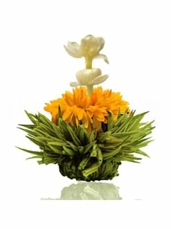 Budget 💯 Kaffee- & Teegeschirr Creano 36er Pack ErblühTee Grüner Tee Fruity Flavor Günstig Kaufen 👏 -Günstiges Creano Geschäft creano 36er pack erbluhtee gruner tee fruity flavor 5