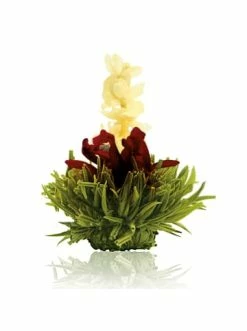 Budget 💯 Kaffee- & Teegeschirr Creano 36er Pack ErblühTee Grüner Tee Fruity Flavor Günstig Kaufen 👏 -Günstiges Creano Geschäft creano 36er pack erbluhtee gruner tee fruity flavor 7