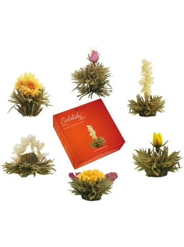 Schlussverkauf 🛒 Kaffee- & Teegeschirr Creano 3x 6er BOX ErblühTee Grüner Tee + Weißer Tee + Grün/Weiß/Schwarz Günstig Kaufen ❤️ 6 Schlussverkauf 🛒 Kaffee- & Teegeschirr Creano 3x 6er BOX ErblühTee Grüner Tee + Weißer Tee + Grün/Weiß/Schwarz Günstig Kaufen ❤️ - Image 4