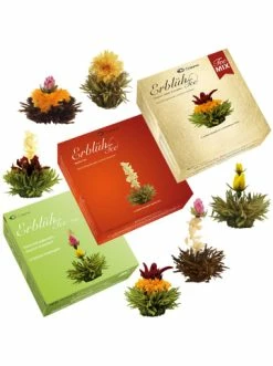 Schlussverkauf 🛒 Kaffee- & Teegeschirr Creano 3x 6er BOX ErblühTee Grüner Tee + Weißer Tee + Grün/Weiß/Schwarz Günstig Kaufen ❤️