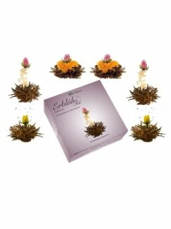 Schlussverkauf 🛒 Kaffee- & Teegeschirr Creano 3x 6er BOX ErblühTee Grüner Tee + Weißer Tee + Grün/Weiß/Schwarz Günstig Kaufen ❤️ 16 Schlussverkauf 🛒 Kaffee- & Teegeschirr Creano 3x 6er BOX ErblühTee Grüner Tee + Weißer Tee + Grün/Weiß/Schwarz Günstig Kaufen ❤️ -Günstiges Creano Geschäft creano 3x 6er box erbluhtee gruner tee weisser tee grun weiss schwarz 3