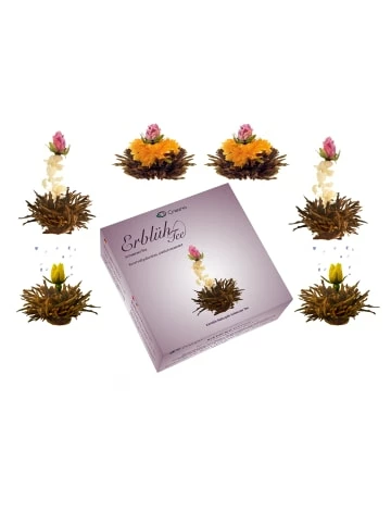 Schlussverkauf 🛒 Kaffee- & Teegeschirr Creano 3x 6er BOX ErblühTee Grüner Tee + Weißer Tee + Grün/Weiß/Schwarz Günstig Kaufen ❤️ 8 Schlussverkauf 🛒 Kaffee- & Teegeschirr Creano 3x 6er BOX ErblühTee Grüner Tee + Weißer Tee + Grün/Weiß/Schwarz Günstig Kaufen ❤️ - Image 6