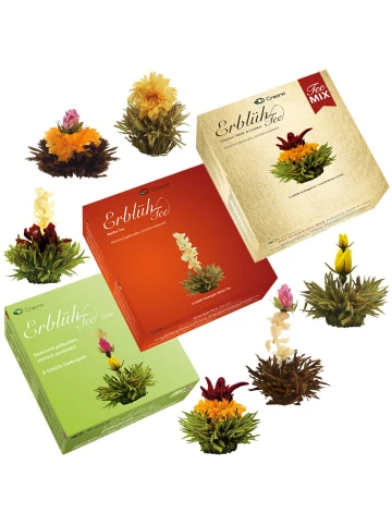 Schlussverkauf 🛒 Kaffee- & Teegeschirr Creano 3x 6er BOX ErblühTee Grüner Tee + Weißer Tee + Grün/Weiß/Schwarz Günstig Kaufen ❤️ 3 Schlussverkauf 🛒 Kaffee- & Teegeschirr Creano 3x 6er BOX ErblühTee Grüner Tee + Weißer Tee + Grün/Weiß/Schwarz Günstig Kaufen ❤️