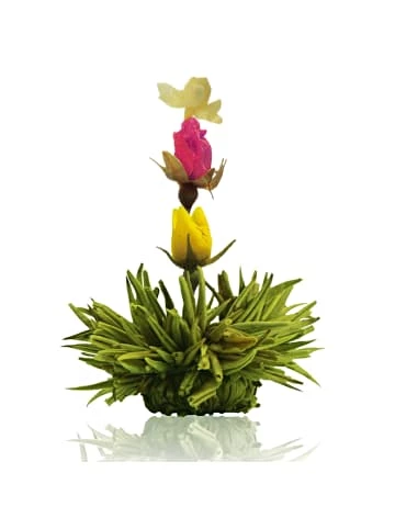 Großhandel 🤩 Kaffee- & Teegeschirr Creano 6er Box ErblühTee Grüntee Fruity Flavor Günstig Kaufen 😀 4 Großhandel 🤩 Kaffee- & Teegeschirr Creano 6er Box ErblühTee Grüntee Fruity Flavor Günstig Kaufen 😀 - Image 2