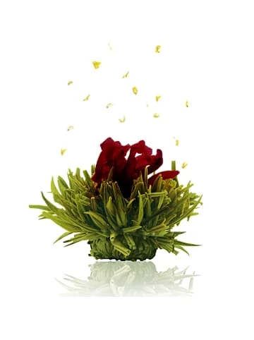 Großhandel 🤩 Kaffee- & Teegeschirr Creano 6er Box ErblühTee Grüntee Fruity Flavor Günstig Kaufen 😀 5 Großhandel 🤩 Kaffee- & Teegeschirr Creano 6er Box ErblühTee Grüntee Fruity Flavor Günstig Kaufen 😀 - Image 3