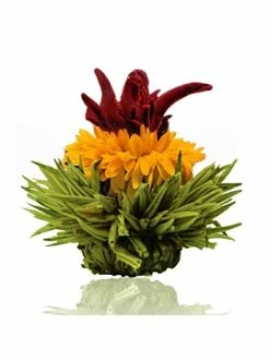 Großhandel 🤩 Kaffee- & Teegeschirr Creano 6er Box ErblühTee Grüntee Fruity Flavor Günstig Kaufen 😀 15 Großhandel 🤩 Kaffee- & Teegeschirr Creano 6er Box ErblühTee Grüntee Fruity Flavor Günstig Kaufen 😀 -Günstiges Creano Geschäft creano 6er box erbluhtee gruntee fruity flavor 3