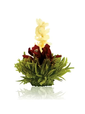 Großhandel 🤩 Kaffee- & Teegeschirr Creano 6er Box ErblühTee Grüntee Fruity Flavor Günstig Kaufen 😀 8 Großhandel 🤩 Kaffee- & Teegeschirr Creano 6er Box ErblühTee Grüntee Fruity Flavor Günstig Kaufen 😀 - Image 6