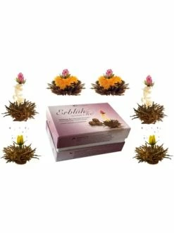 Am billigsten 😍 Lebensmittel Creano 6er Box: ErblühTee Schwarztee Günstig Kaufen ❤️