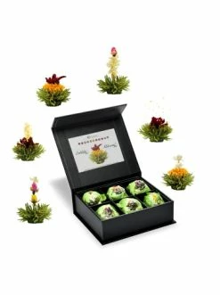 Coupon 🎉 Kaffee- & Teegeschirr Creano 6er Magnetbox ErblühTee Grüntee Fruity Flavor Günstig Kaufen 🔥