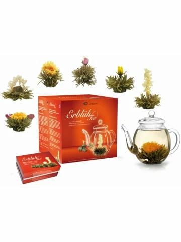 Aktion ⭐ Kaffee- & Teegeschirr Creano 7tlg. Set: 6 Teeblumen "ErblühTee Weißer Tee" + 1 Teekanne 500ml Günstig Kaufen 🌟 3 Aktion ⭐ Kaffee- & Teegeschirr Creano 7tlg. Set: 6 Teeblumen "ErblühTee Weißer Tee" + 1 Teekanne 500ml Günstig Kaufen 🌟