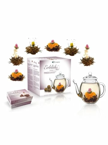 Aktion ⌛ Kaffee- & Teegeschirr Creano 7tlg. Set: ErblühTee "Schwarzer Tee" + 1 Teekanne 500ml Günstig Kaufen ✨ 3 Aktion ⌛ Kaffee- & Teegeschirr Creano 7tlg. Set: ErblühTee "Schwarzer Tee" + 1 Teekanne 500ml Günstig Kaufen ✨