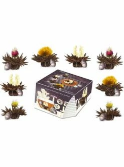 Coupon ✔️ Lebensmittel Creano 8er Box ErblühTeelini Schwarztee Günstig Kaufen ✔️