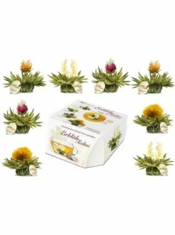 Top 10 🧨 Lebensmittel Creano 8er Box ErblühTeelini Weißtee Günstig Kaufen 💯