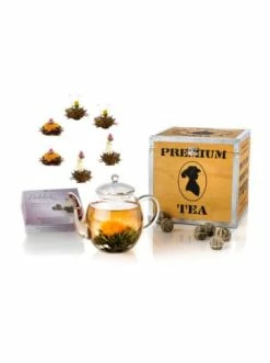 Bestes Angebot 🤩 Kaffee- & Teegeschirr Creano 8tlg. Set: Holz-Deko-Box + 6x ErblühTee Schwarzer Tee + Teekanne 500ml Günstig Kaufen 🧨