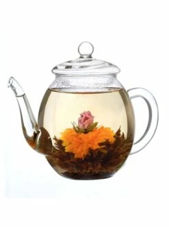 Bestes Angebot 🤩 Kaffee- & Teegeschirr Creano 8tlg. Set: Holz-Deko-Box + 6x ErblühTee Schwarzer Tee + Teekanne 500ml Günstig Kaufen 🧨 -Günstiges Creano Geschäft creano 8tlg set holz deko box 6x erbluhtee schwarzer tee teekanne 500ml 5