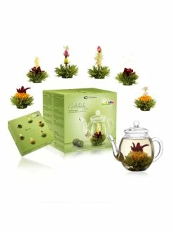 Brandneu 🔥 Kaffee- & Teegeschirr Creano Geschenkset ErblühTee Grüner Tee "Fruity Flavor" In 6 Geschmackssorten Günstig Kaufen 👍