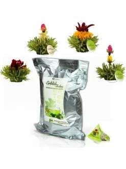 Budget 🧨 Lebensmittel Creano Grüntee 36er Pack Teelini, 4 Sorten, 180gr Netto Günstig Kaufen ❤️