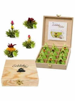 Coupon 😀 Lebensmittel Creano Grüntee Teelini 12er Holzpräsent-Box Günstig Kaufen ⭐