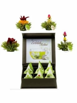 Aktion ✔️ Lebensmittel Creano Grüntee Teelini 6er Box Mit Magnetverschluss Günstig Kaufen 👍