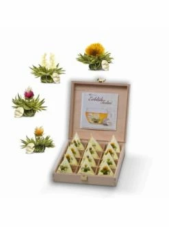 Bestpreis 👍 Lebensmittel Creano Holzpräsentbox "12er Teelini Weißtee" Günstig Kaufen 🧨