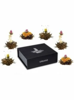 Top 10 🎁 Lebensmittel Creano Magnetbox 6er ErblühTee Schwarzer Tee Günstig Kaufen 🧨