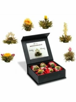 Blitzangebot 😍 Lebensmittel Creano Magnetbox 6er "ErblühTee Weißer Tee" Günstig Kaufen 🧨