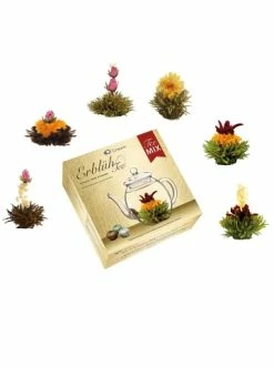 Bestes Angebot 🧨 Lebensmittel Creano MIXED 6er Box Teeblumen Grüner/Weißer/Schwarzer Tee Günstig Kaufen ❤️