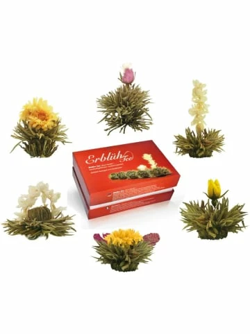 Bestes Angebot 🎉 Lebensmittel Creano Tee 6er Box: ErblühTee Weißtee Günstig Kaufen 👍 3 Bestes Angebot 🎉 Lebensmittel Creano Tee 6er Box: ErblühTee Weißtee Günstig Kaufen 👍